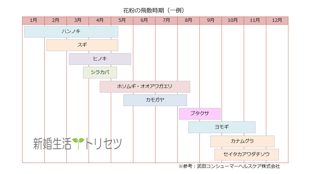 実は花粉症は1年中起きる!