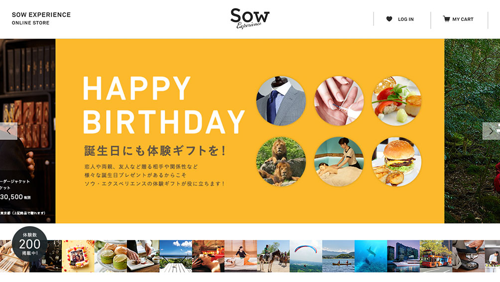 SOW EXPERIENCE