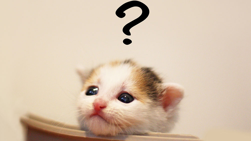 よくある疑問を解決!ココはどうやって決めれば良い?