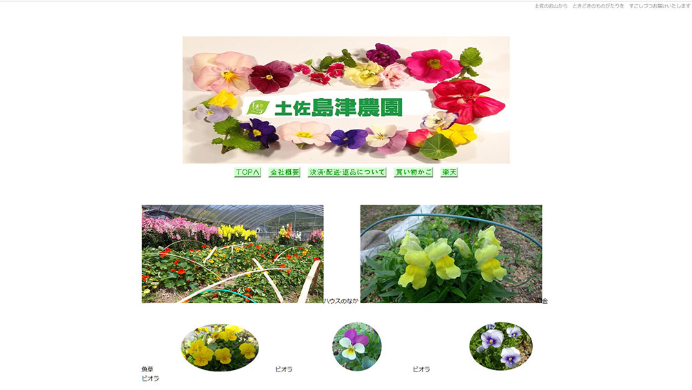 土佐 島津農園