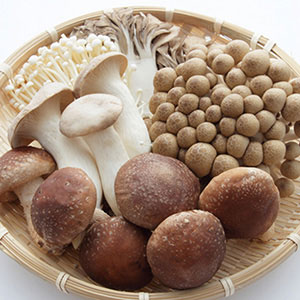 菌(きのこ)類