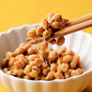 納豆菌