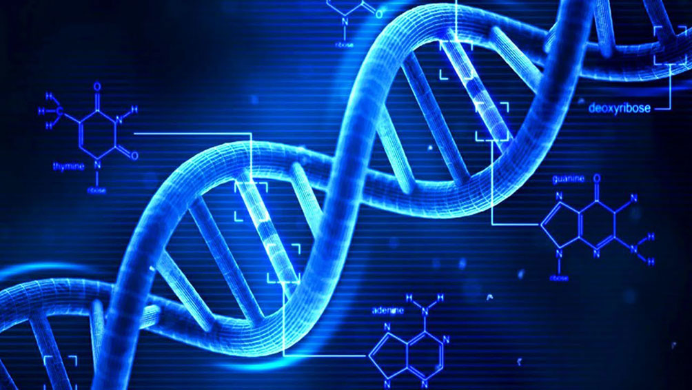 遺伝子検査で子供の才能を発見!?