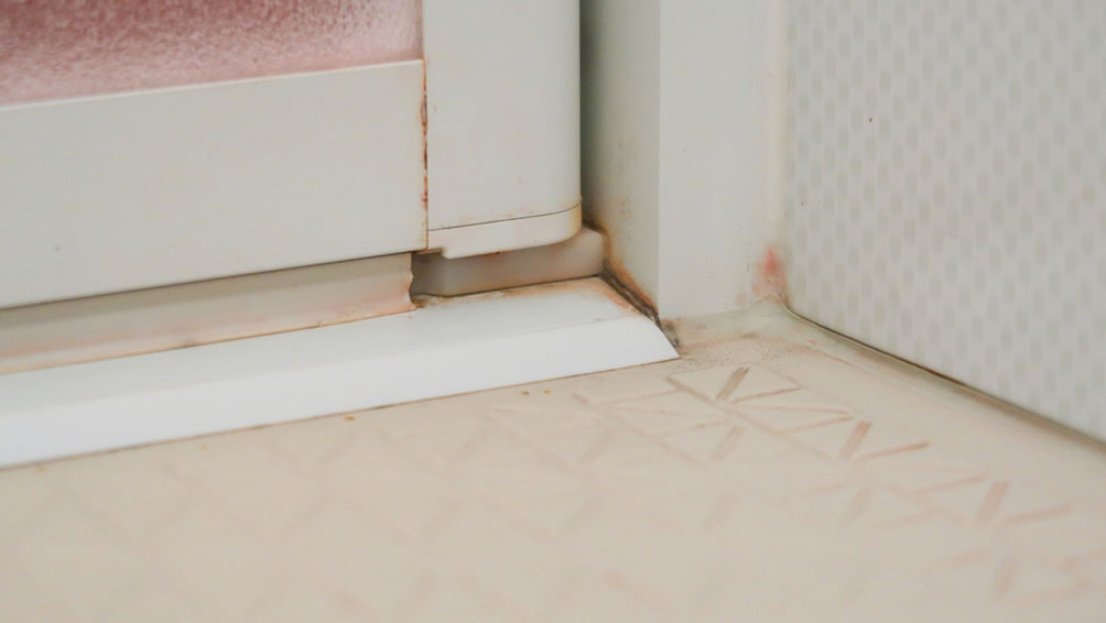 お風呂のピンク汚れって何なの?その正体に迫る!