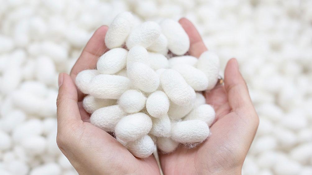 シルクの手袋を着用する