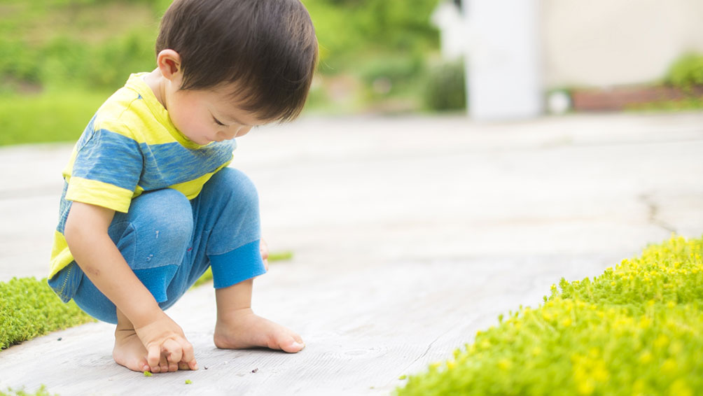 プレ保育はいつから体験可能？