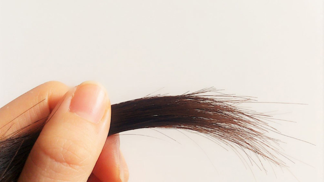 枝毛の原因はココにあり！美髪を作る対策やトリートメント方法は？